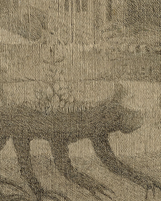 ZD SANDS , ZOON POLITKON