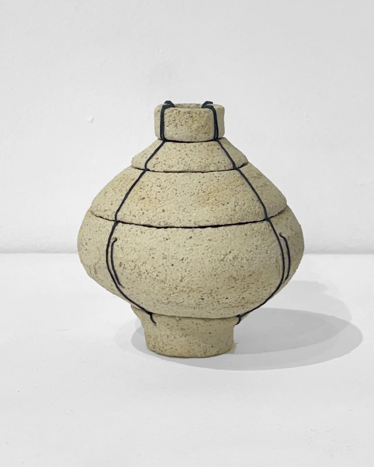 cara taylor, no. 25, 2026