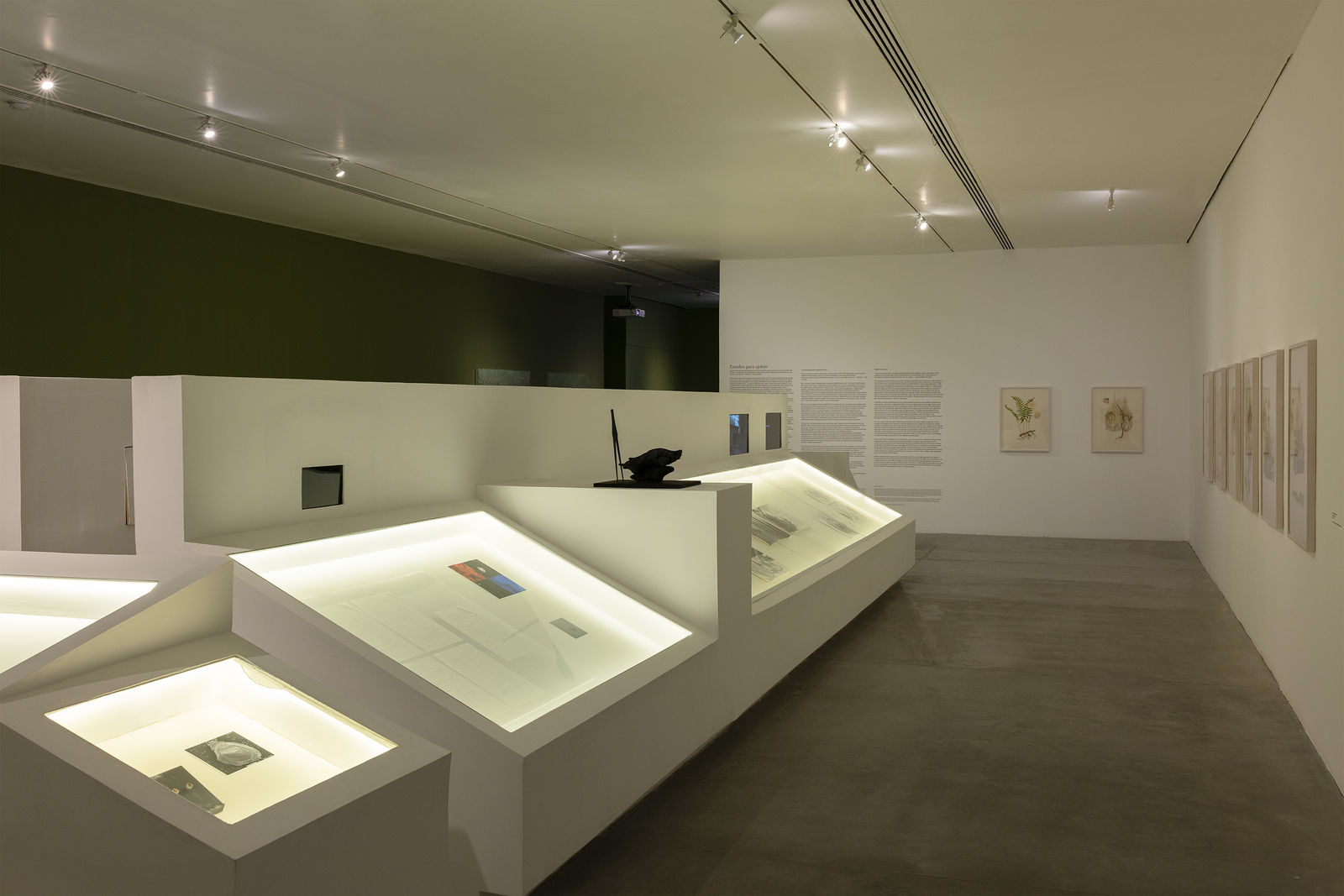 Time Feels Less If We Stay Still,” May 31 – October 26, 2025, Museo de Arte de Zapopan. Courtesy of Museo de Arte de Zapopan (MAZ). Photo: Lazarillo