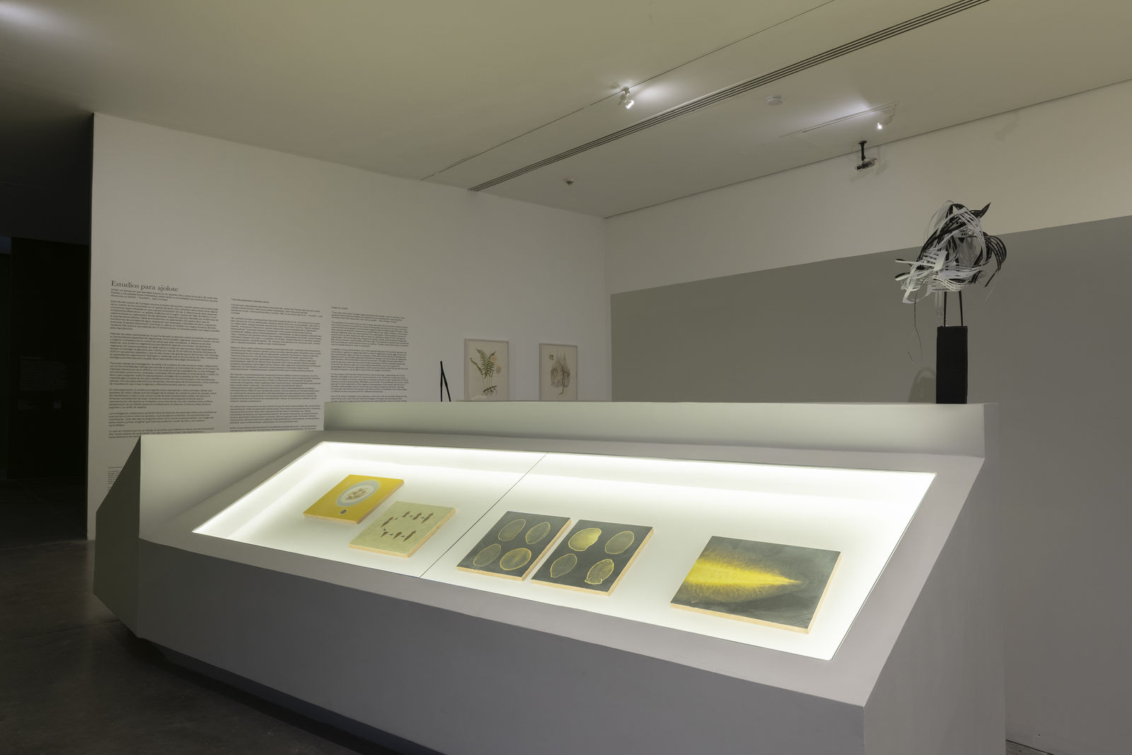 Time Feels Less If We Stay Still,” May 31 – October 26, 2025, Museo de Arte de Zapopan. Courtesy of Museo de Arte de Zapopan (MAZ). Photo: Lazarillo