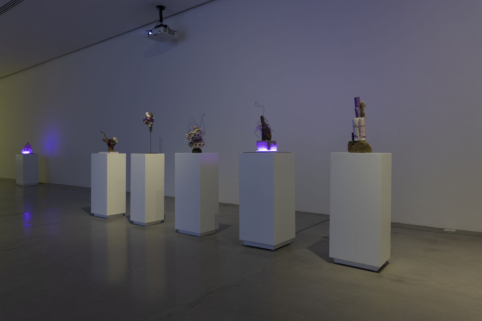 Time Feels Less If We Stay Still,” May 31 – October 26, 2025, Museo de Arte de Zapopan. Courtesy of Museo de Arte de Zapopan (MAZ). Photo: Lazarillo