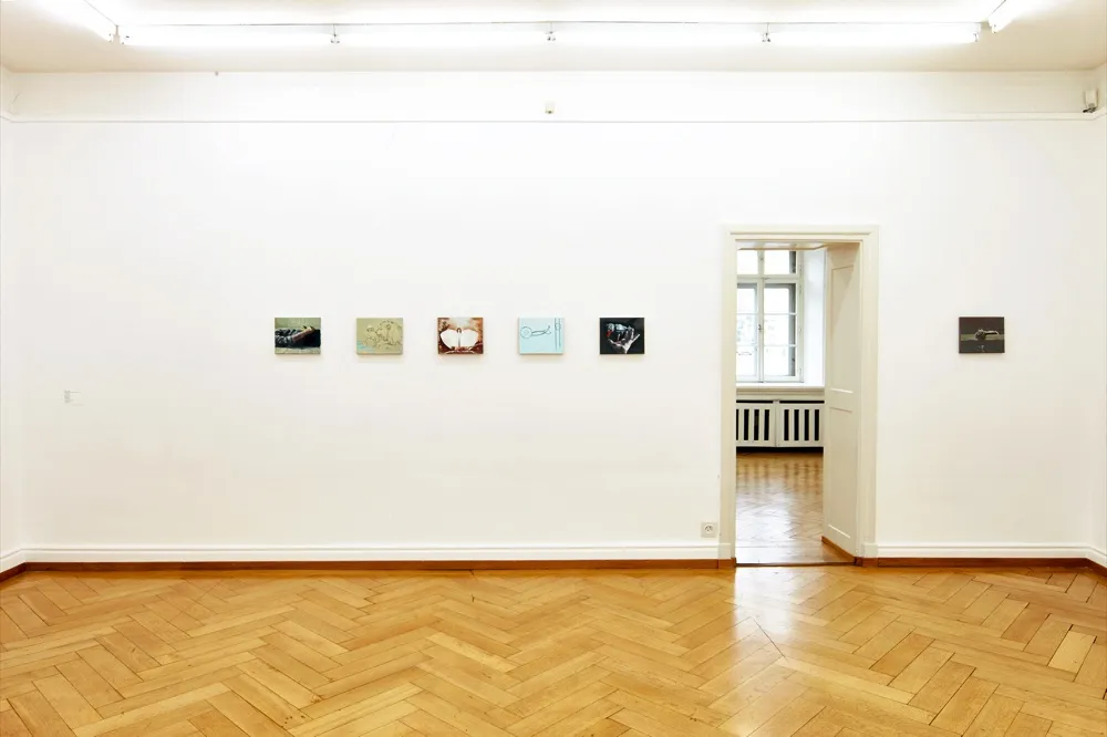 Installation view, Marc-Antoine Fehr: Renaissance, Kunstmuseum Olten, Olten, Switzerland, 2018