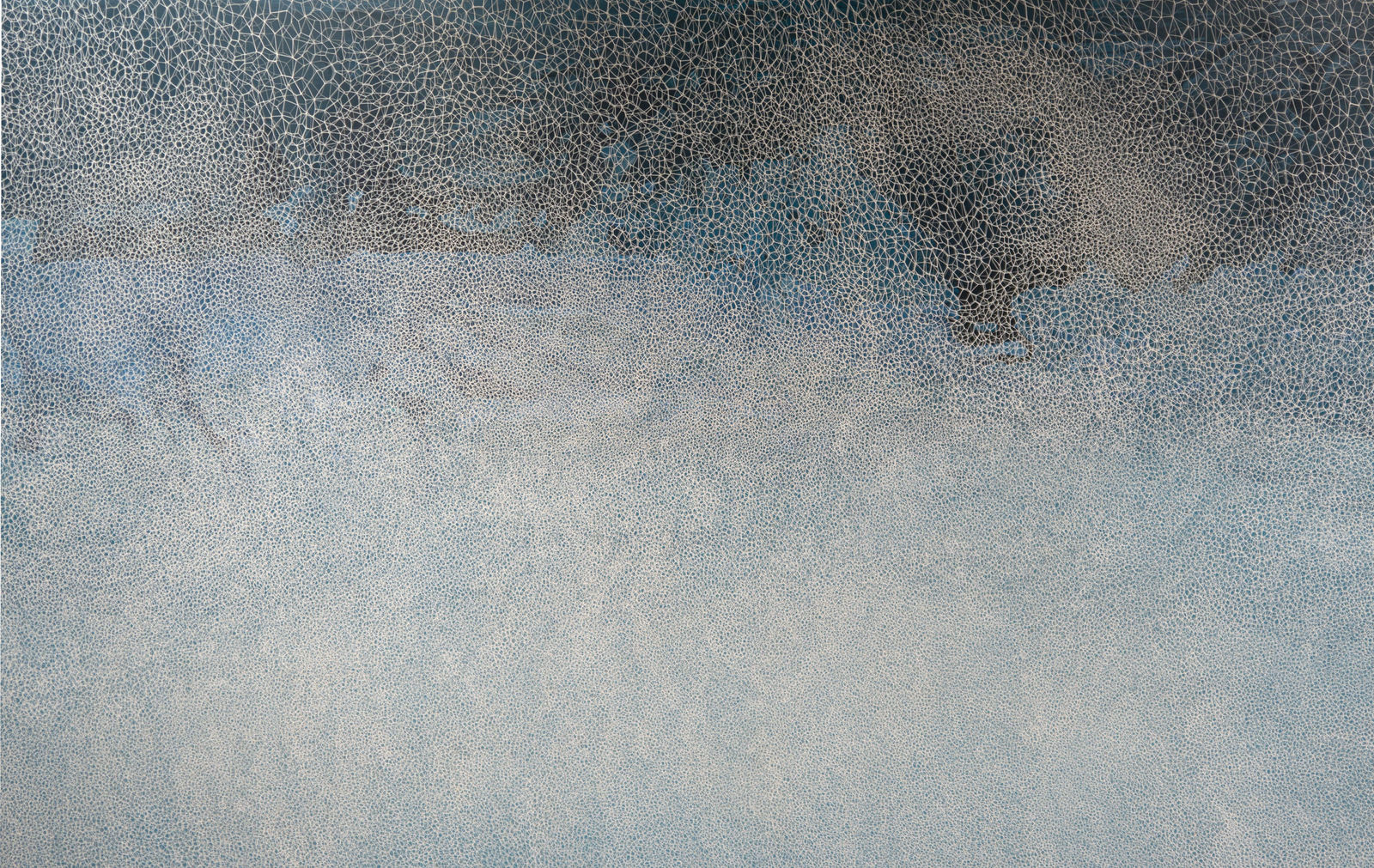 This Salted Light, 2024