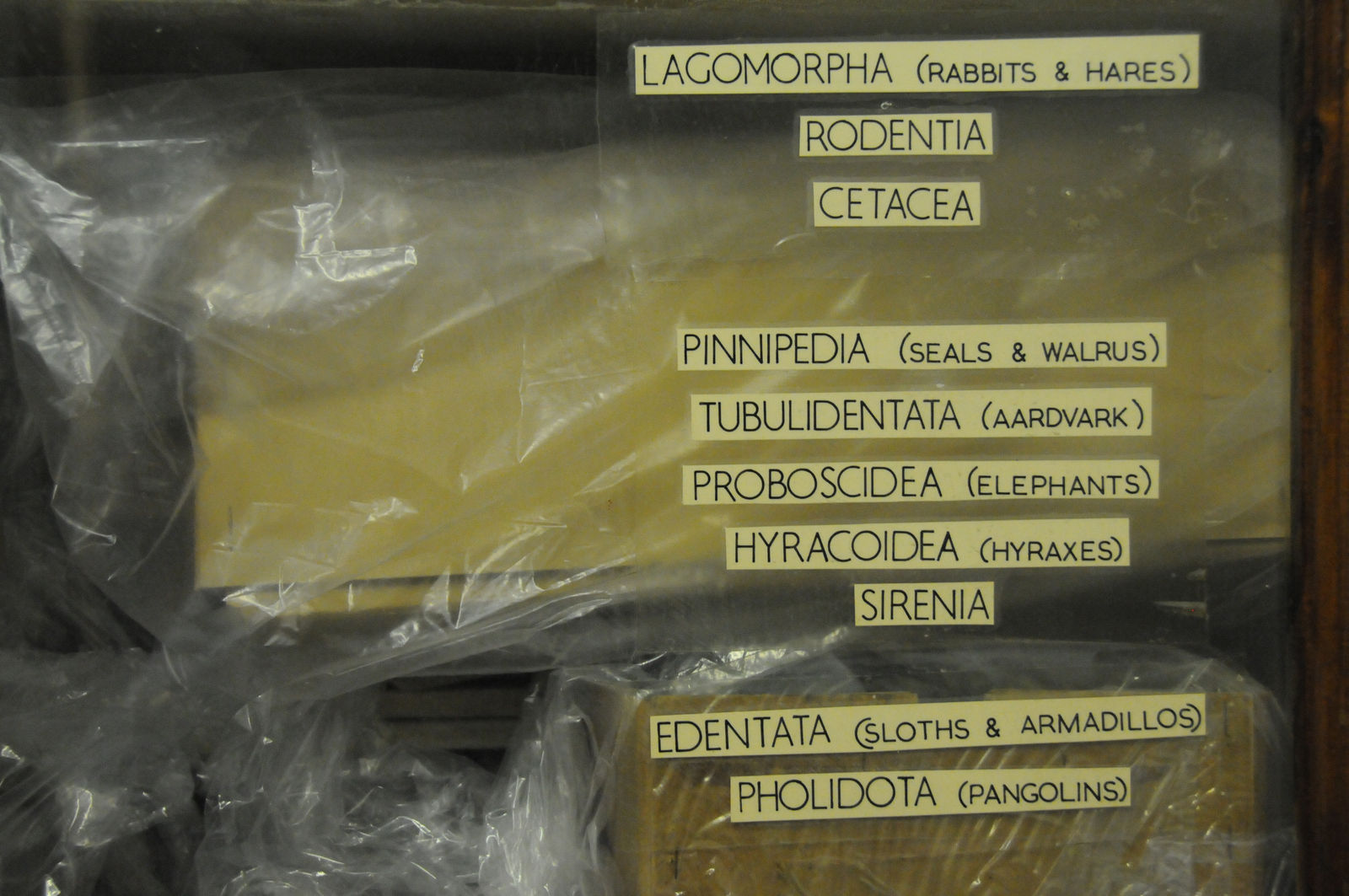 The Curator's Room 5, 2014