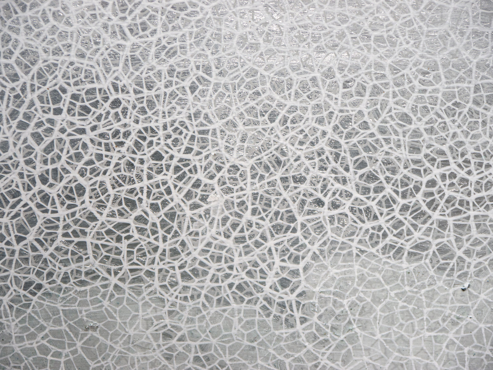 Salt Fog Light, 2024