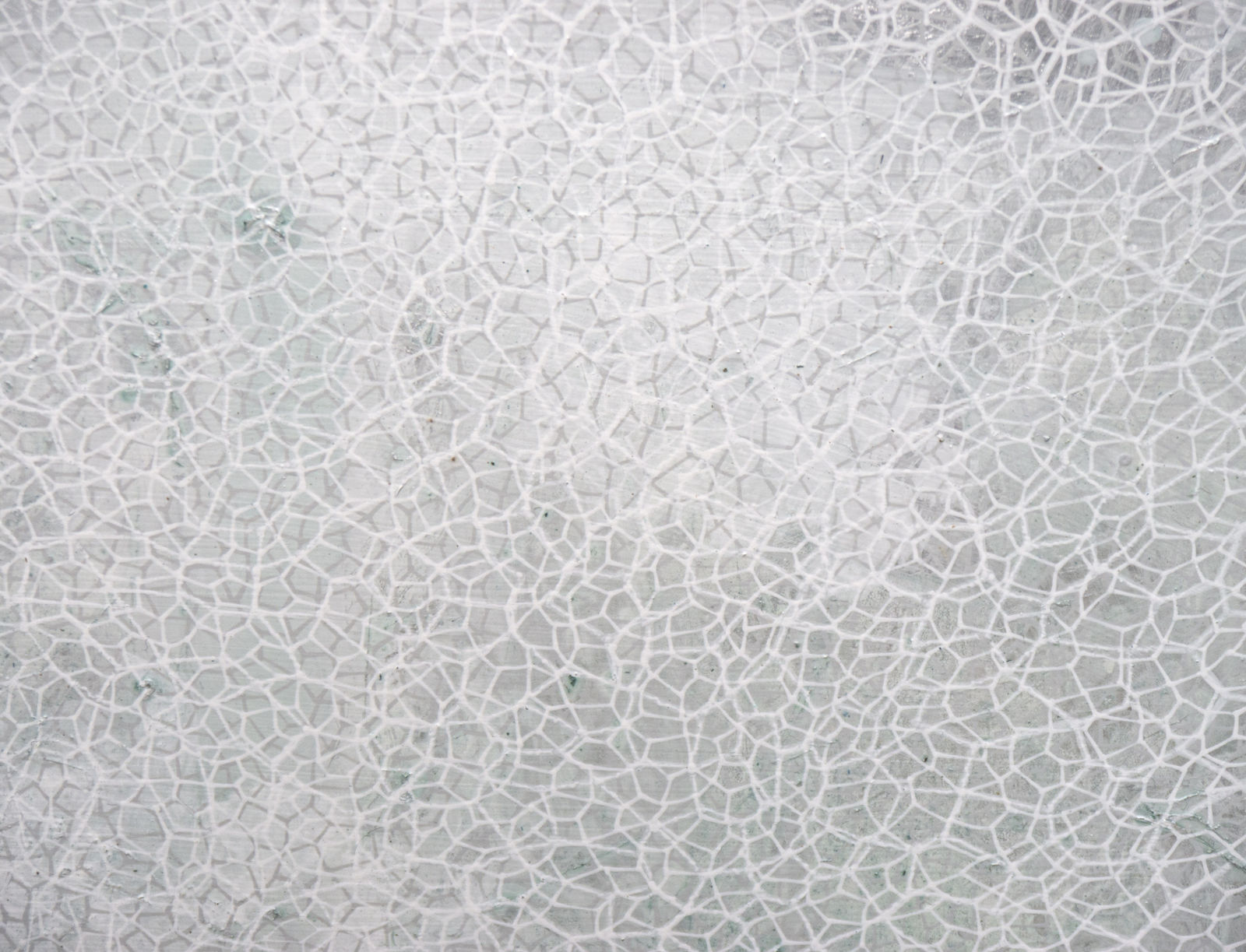 Salt Fog Light, 2024