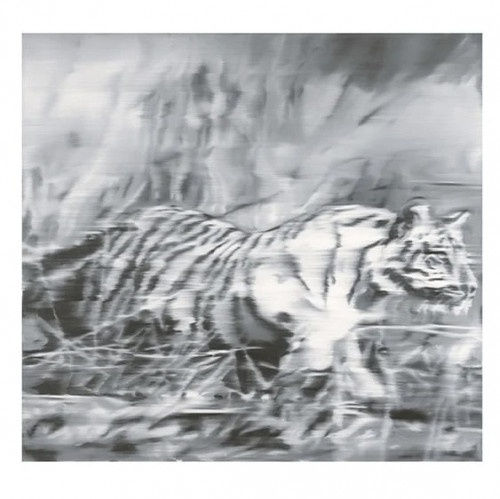Gerhard Richter, Tiger, 1965/2022