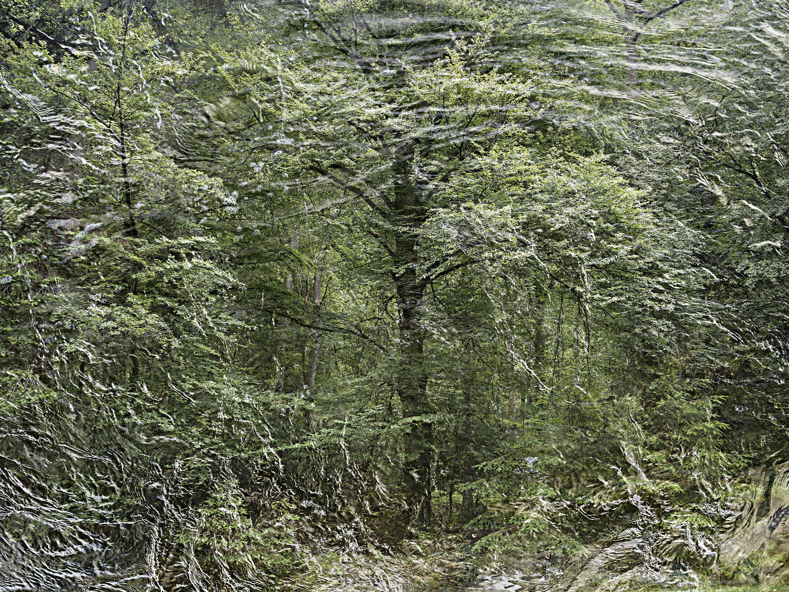 Ellie Davies, Seascapes 9, 2020