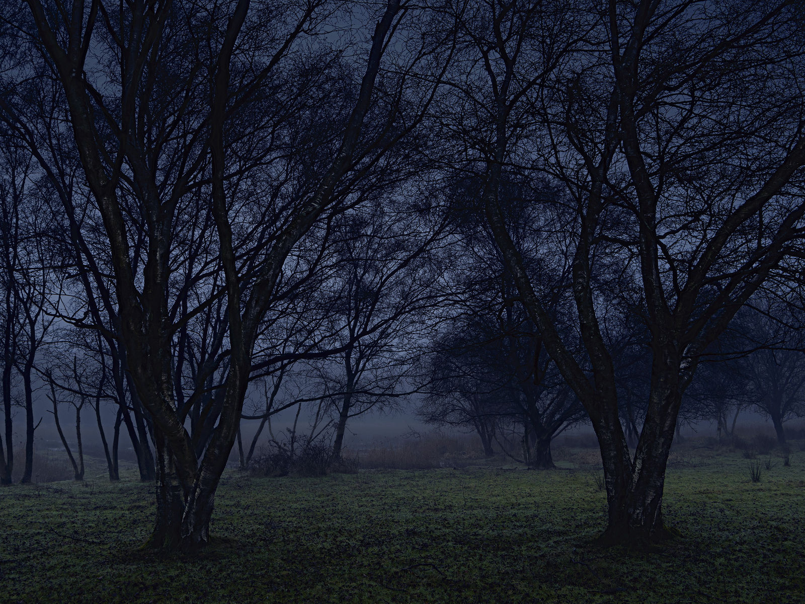 Ellie Davies, Stillness 6, 2021