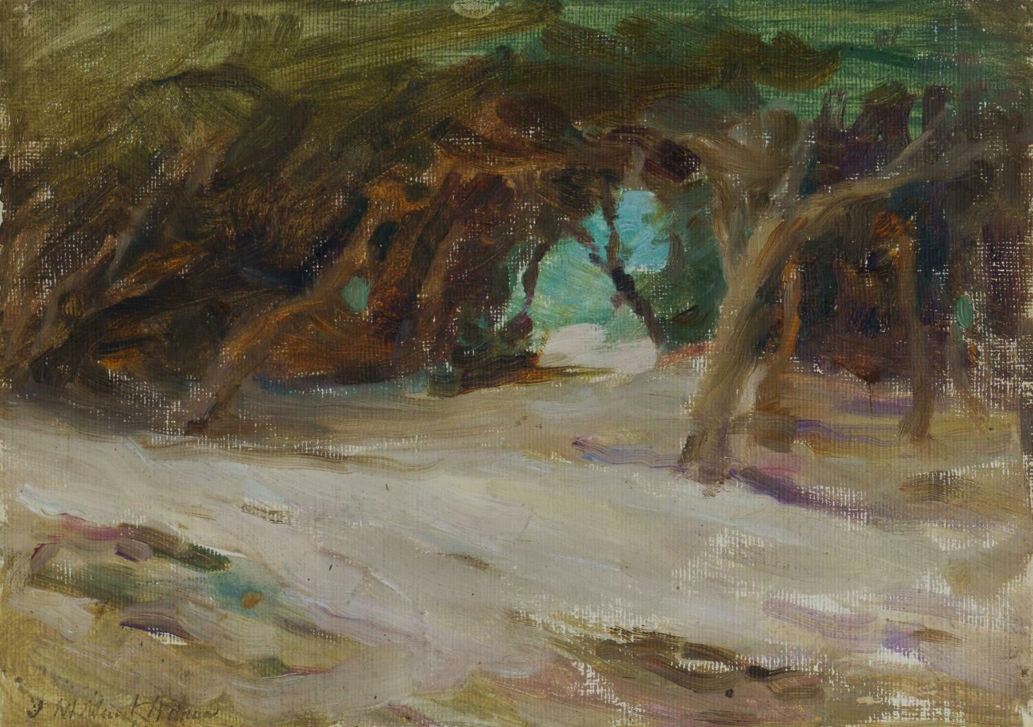 Josephine Muntz-Adams, (View through the ti-trees)