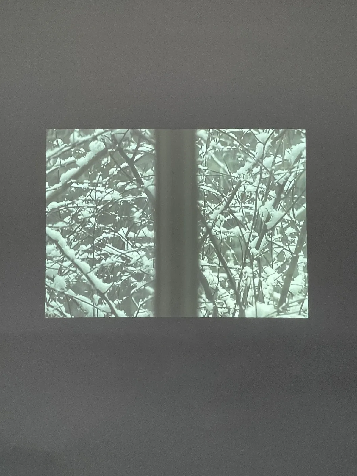 Michael Snow, Snow (De, A, Pour Thierry), janv. 2002-oct. 2007