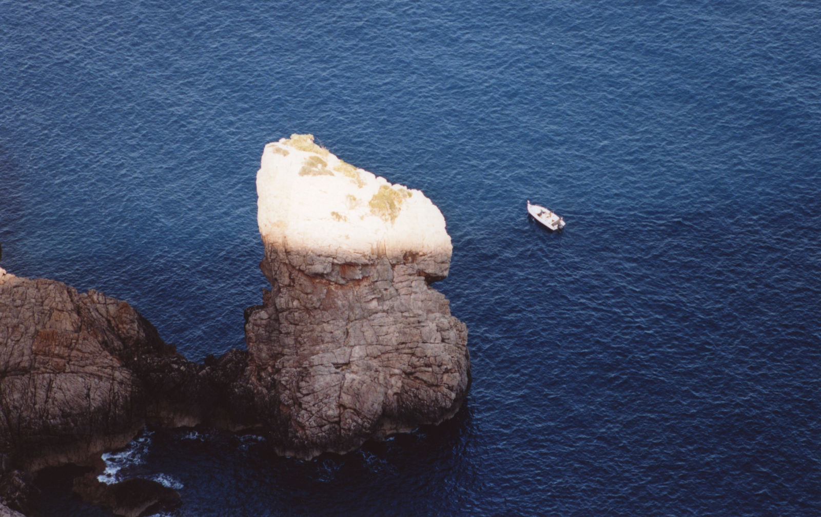 Daniel Gustav Cramer, Tales (Es Colomer, Formentor, Mallorca, October 2021), 2022