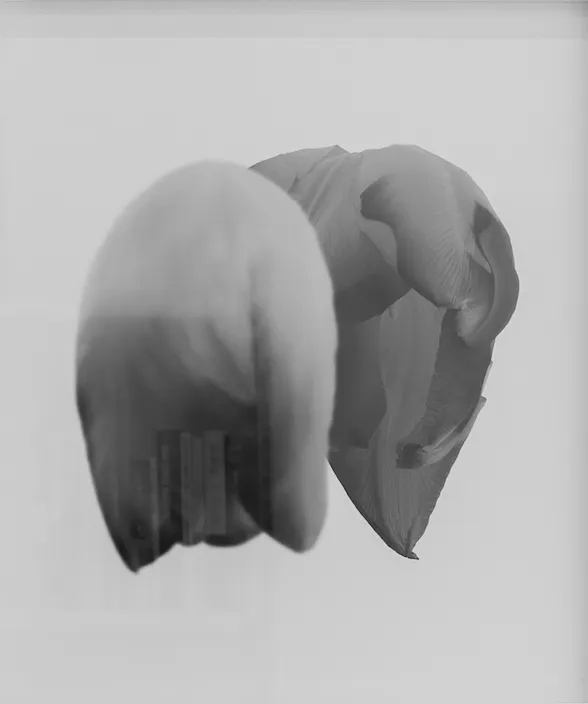 Park Sun Min, K’s Face, 2022