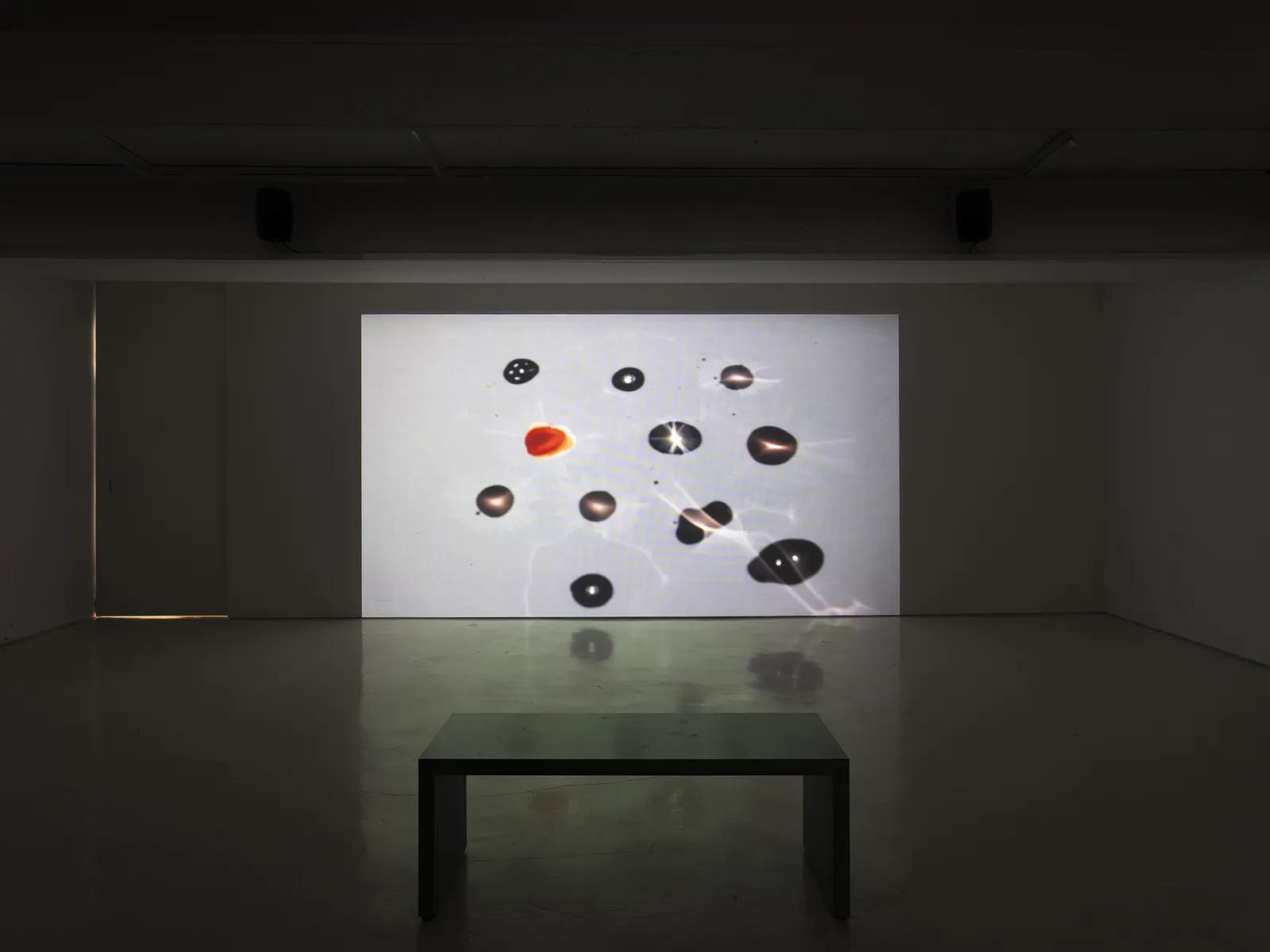 Park Sun Min, Park Sun Min, 2025