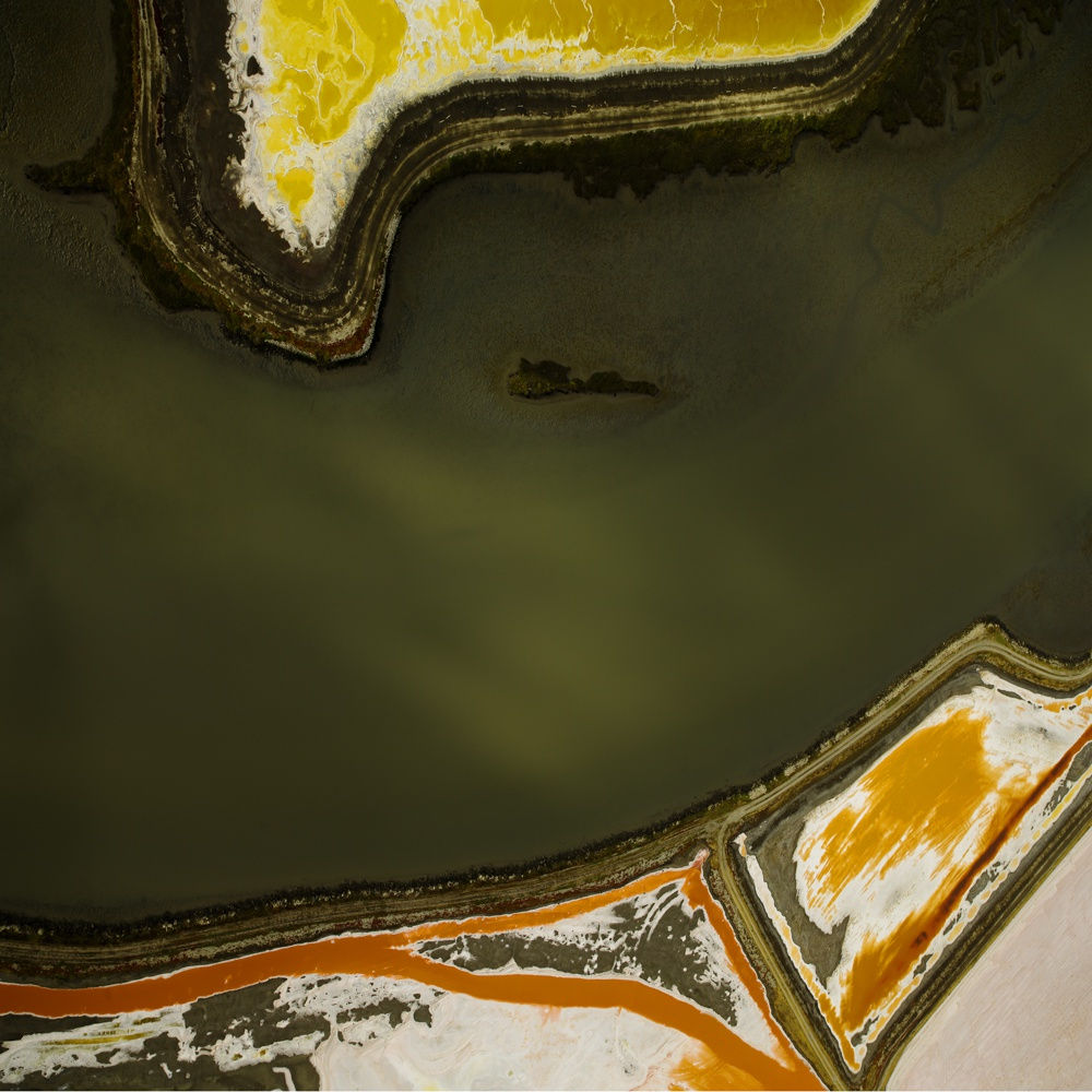 Bay Salt 6502 by Thomas Heinser