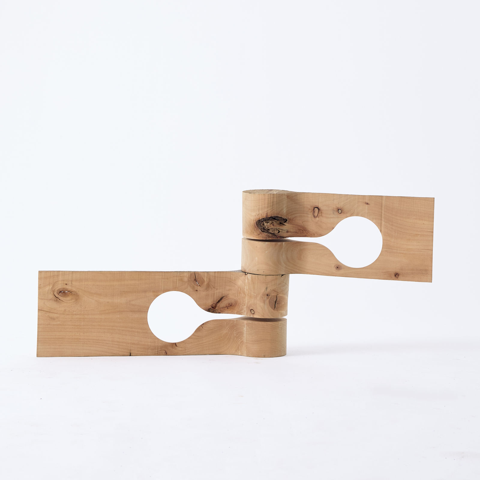 Nick Polansky, Hydra 01_, 2023