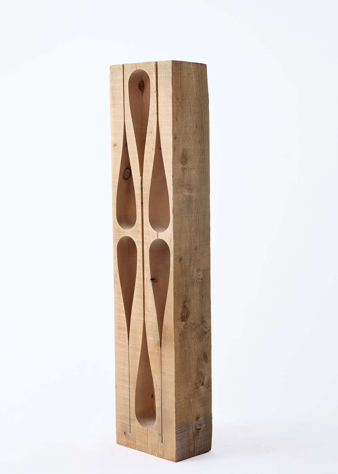 Nick Polansky, Hydra 06_, 2024