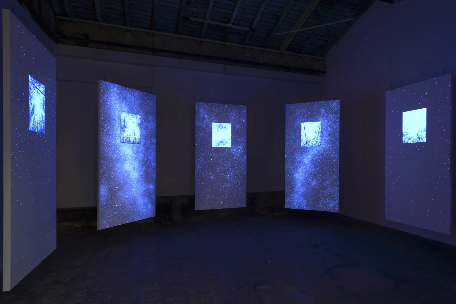 Eric Eriston Winarto, INSTALLATION, BLACKLIGHT SELVA ( GALAXY ), PARIS, FRANCE, 2014