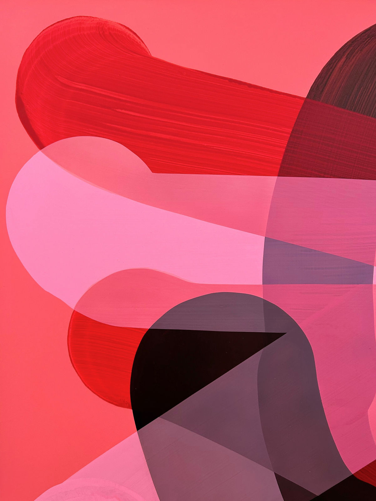 Stohead, Ikigai, 2023