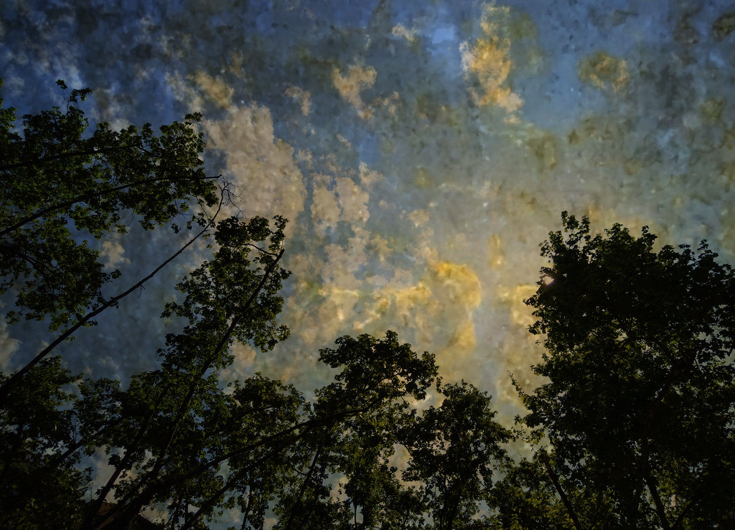 #010.Satie nº 10 2023