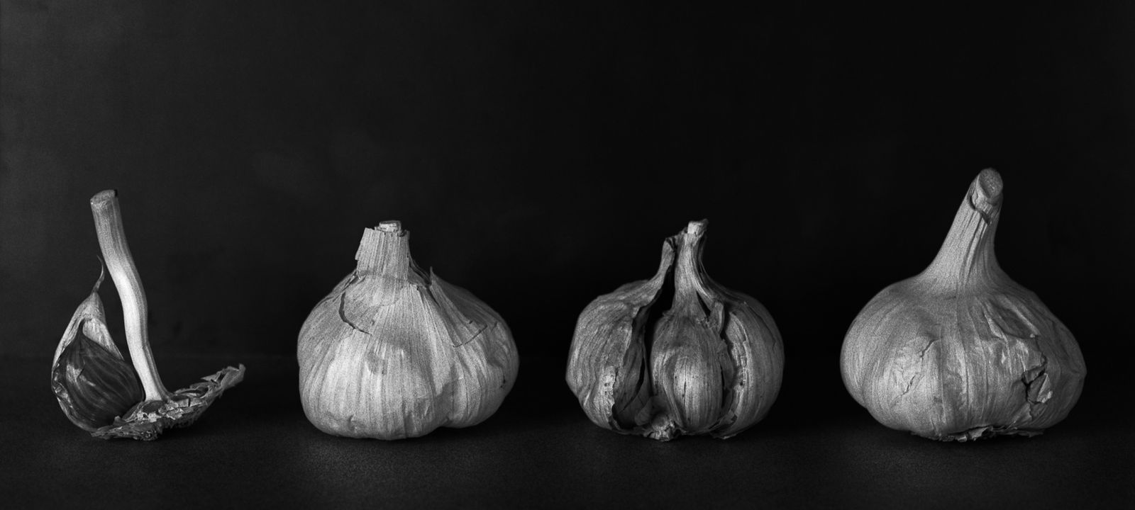 Pili Concellón, A GARLIC FAMILY, 2022