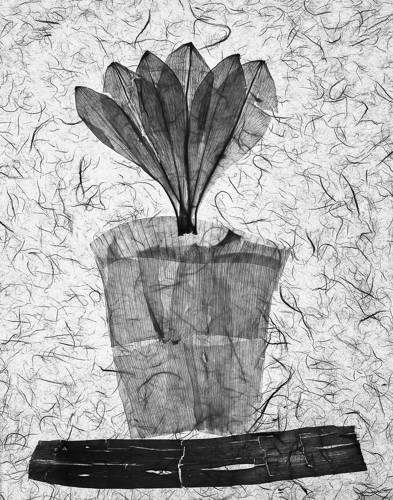 Pili Concellón, BY PLAYING: A NEW CREATION, 2020