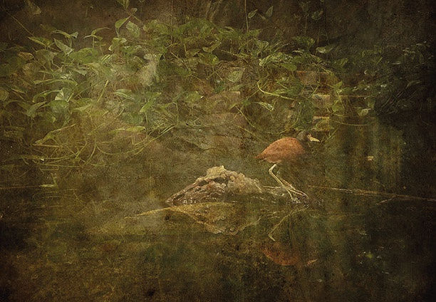 Xavi Millán, #006. La Charca,, 2019 - 21