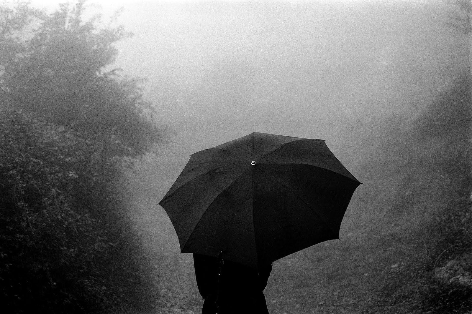 RAIN IN ASTURIAS Spain 1987