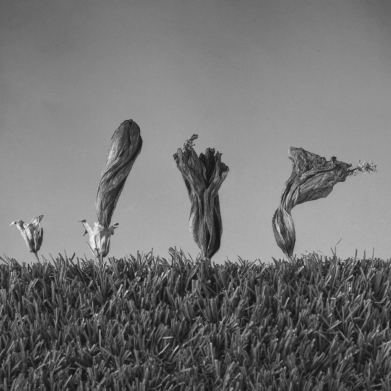 Pili Concellón, SOME GENERATIONS, A FAMILY, 2019