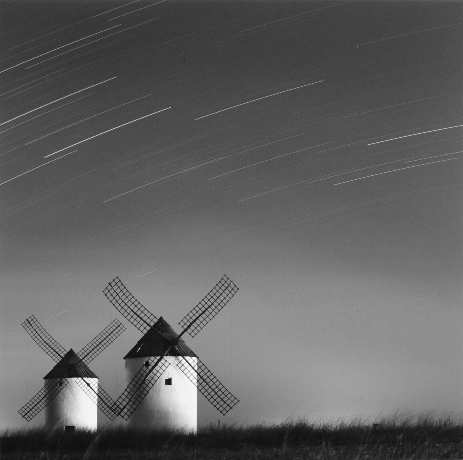 Mota de Cuervo, 2004