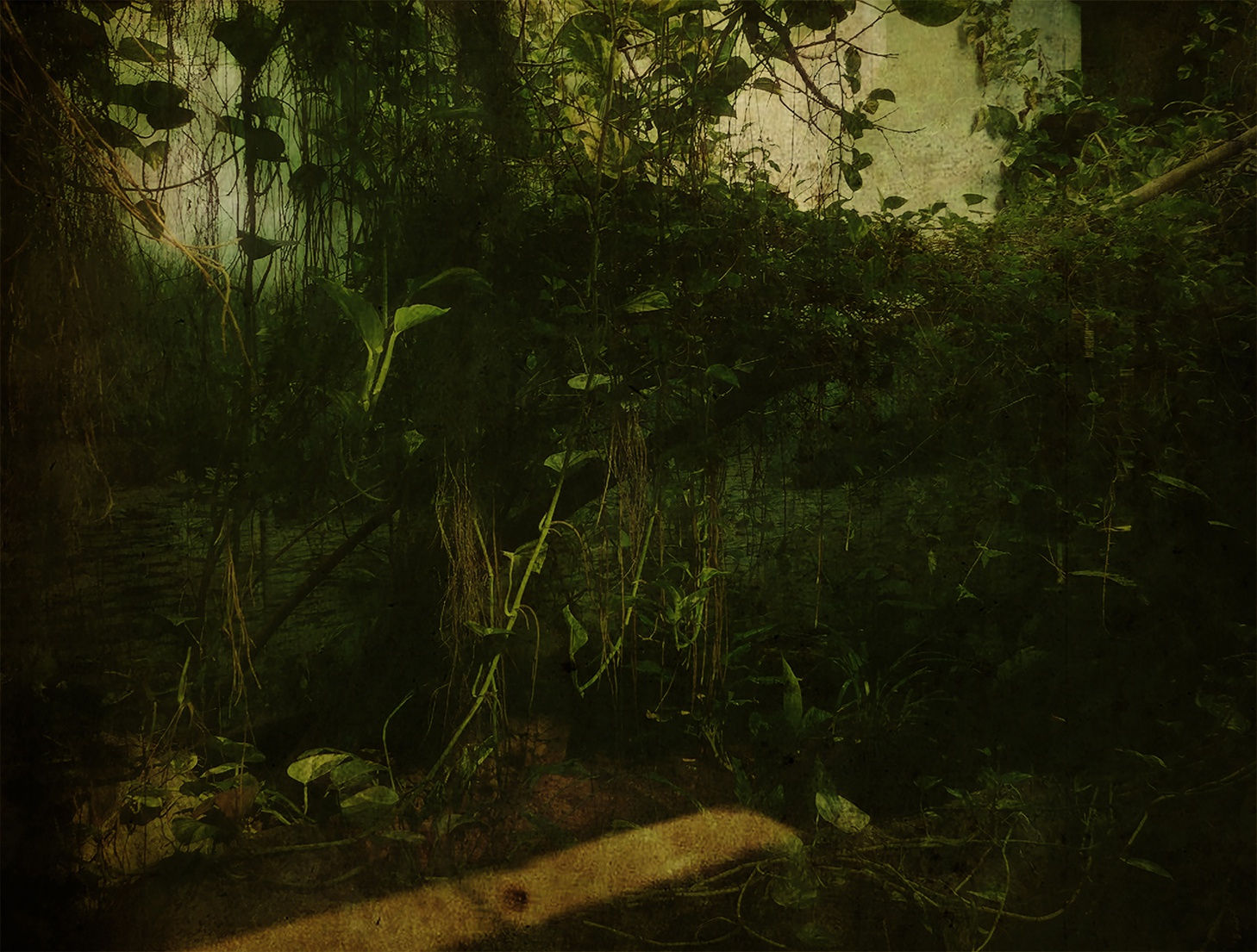 #010.El corazón de las Tinieblas 2019/21