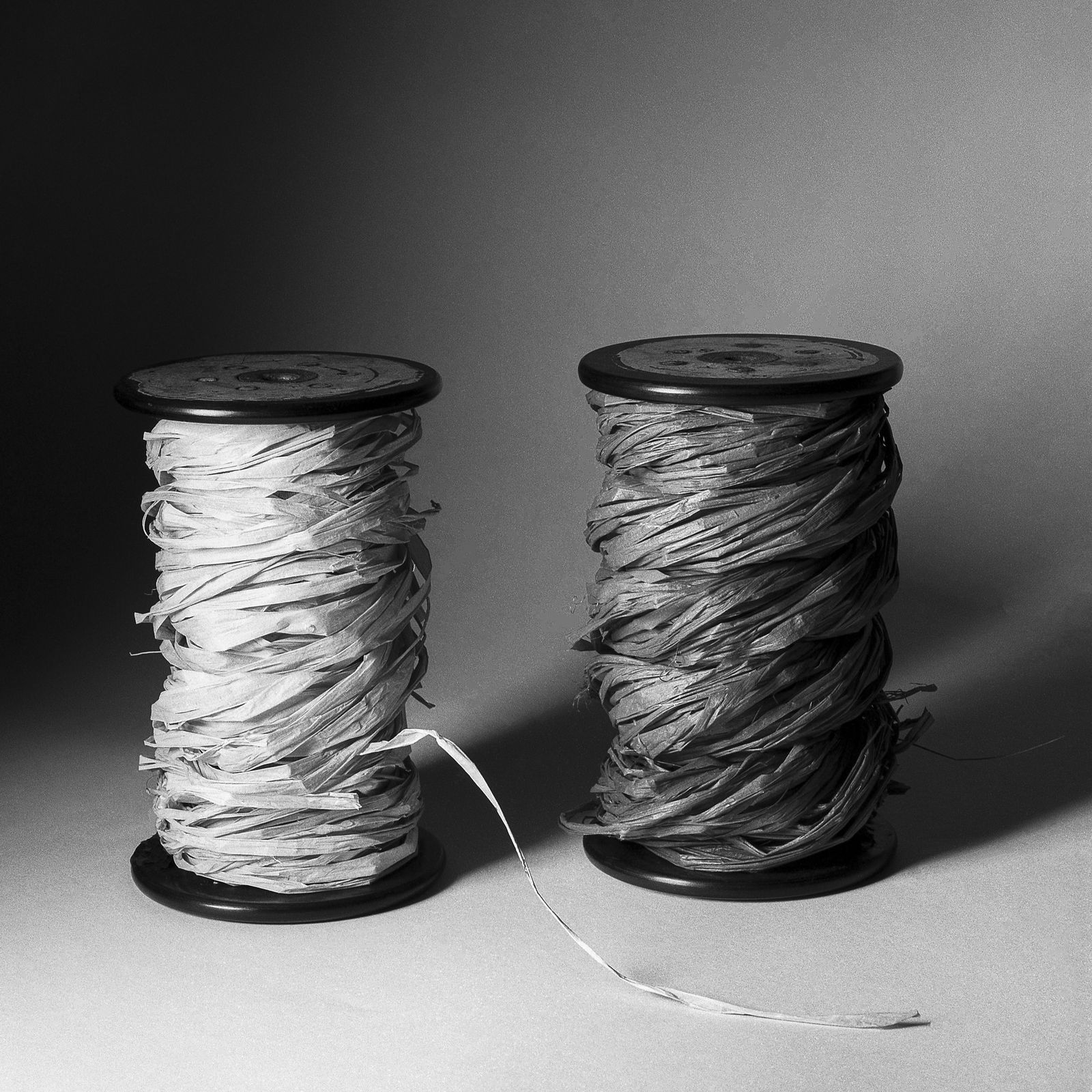 Pili Concellón, A MAGNETIC SENSATION, 2019