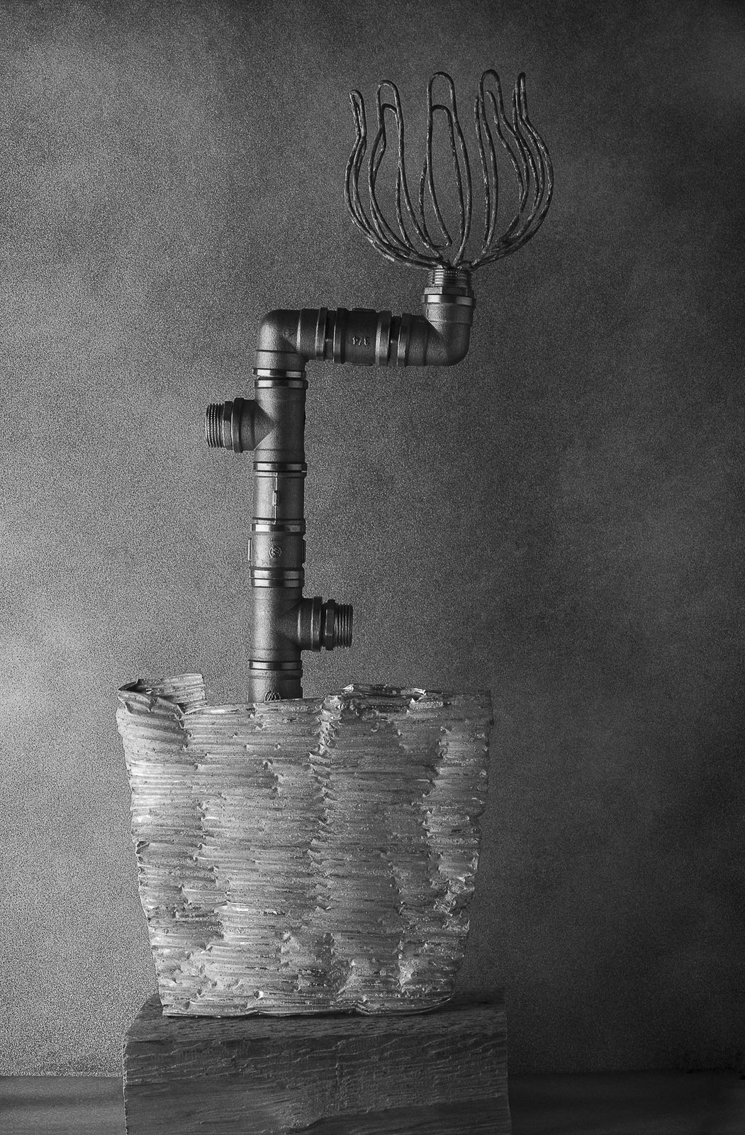 Pili Concellón, … AND THE FLOWER JUST CAME OUT, 2020