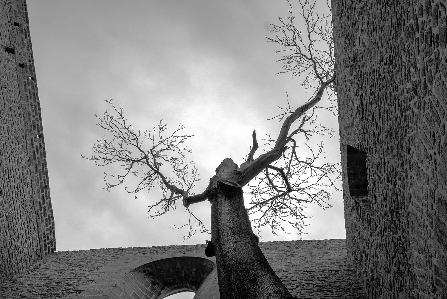 THE SCREAM OF THE EARTH Palermo, Italy 2019