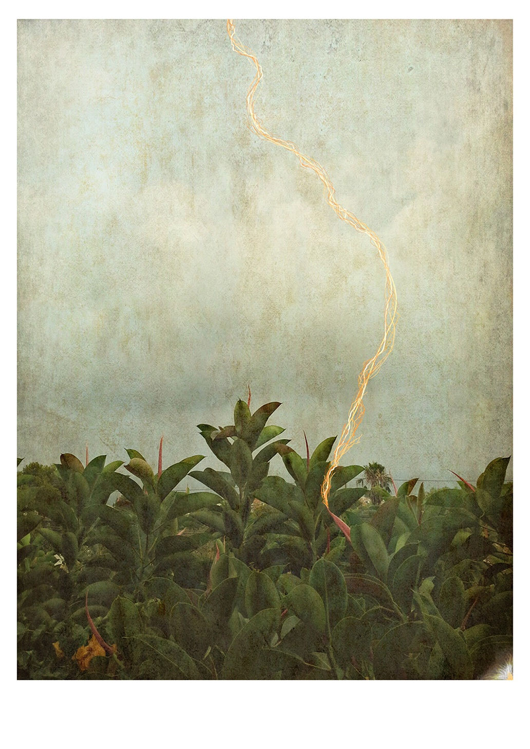 #006.Buscando a Félix 2018