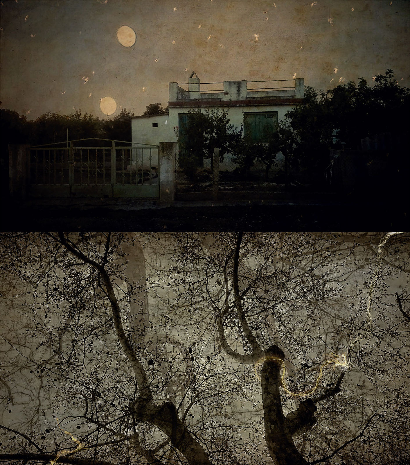 #006. NT 6. 2020-24