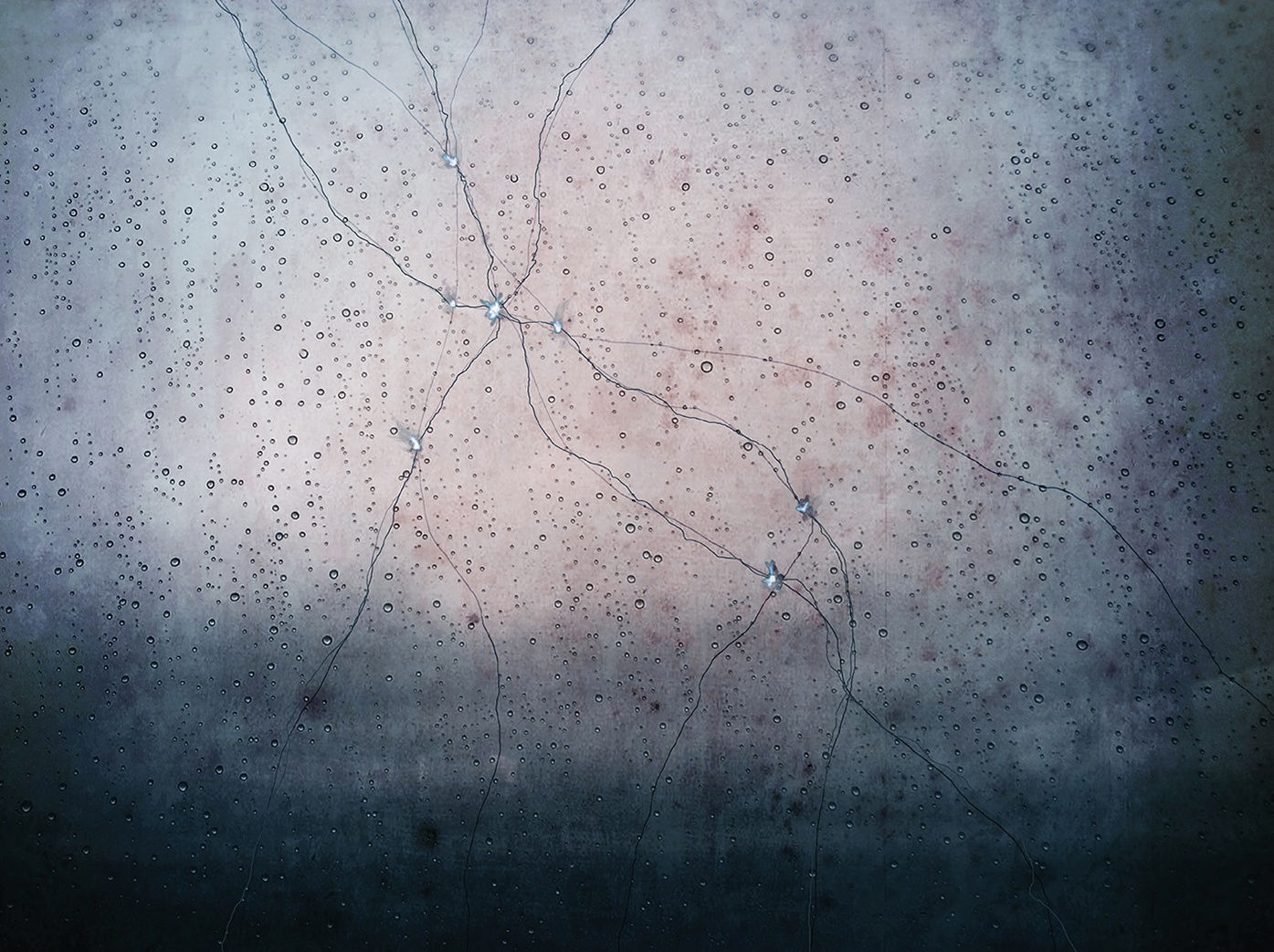 #003. Los Velos de la memoria 2019/21