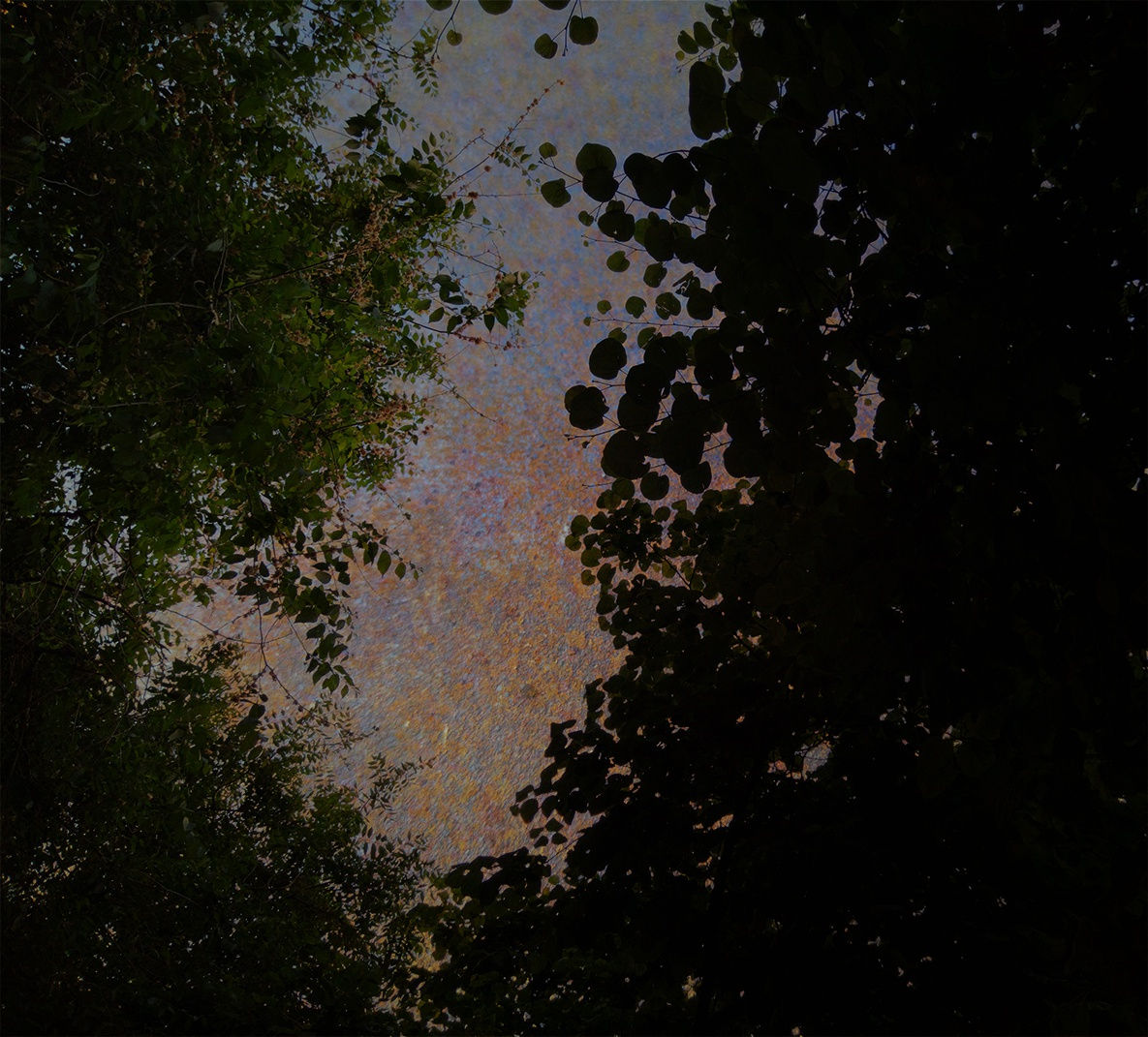 #020.Satie nº 20 2023