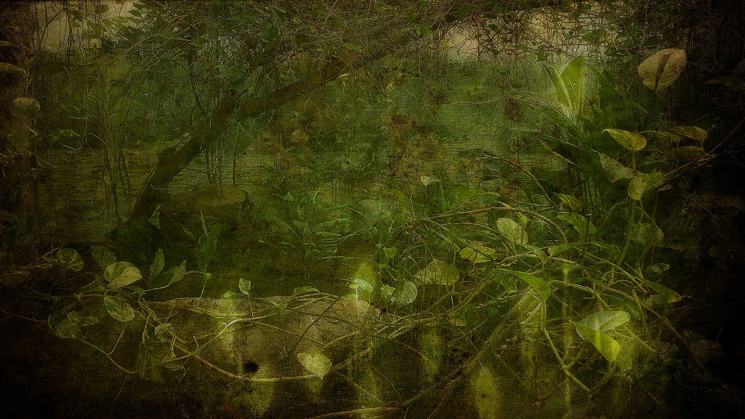 #016. La Foret 2019/21