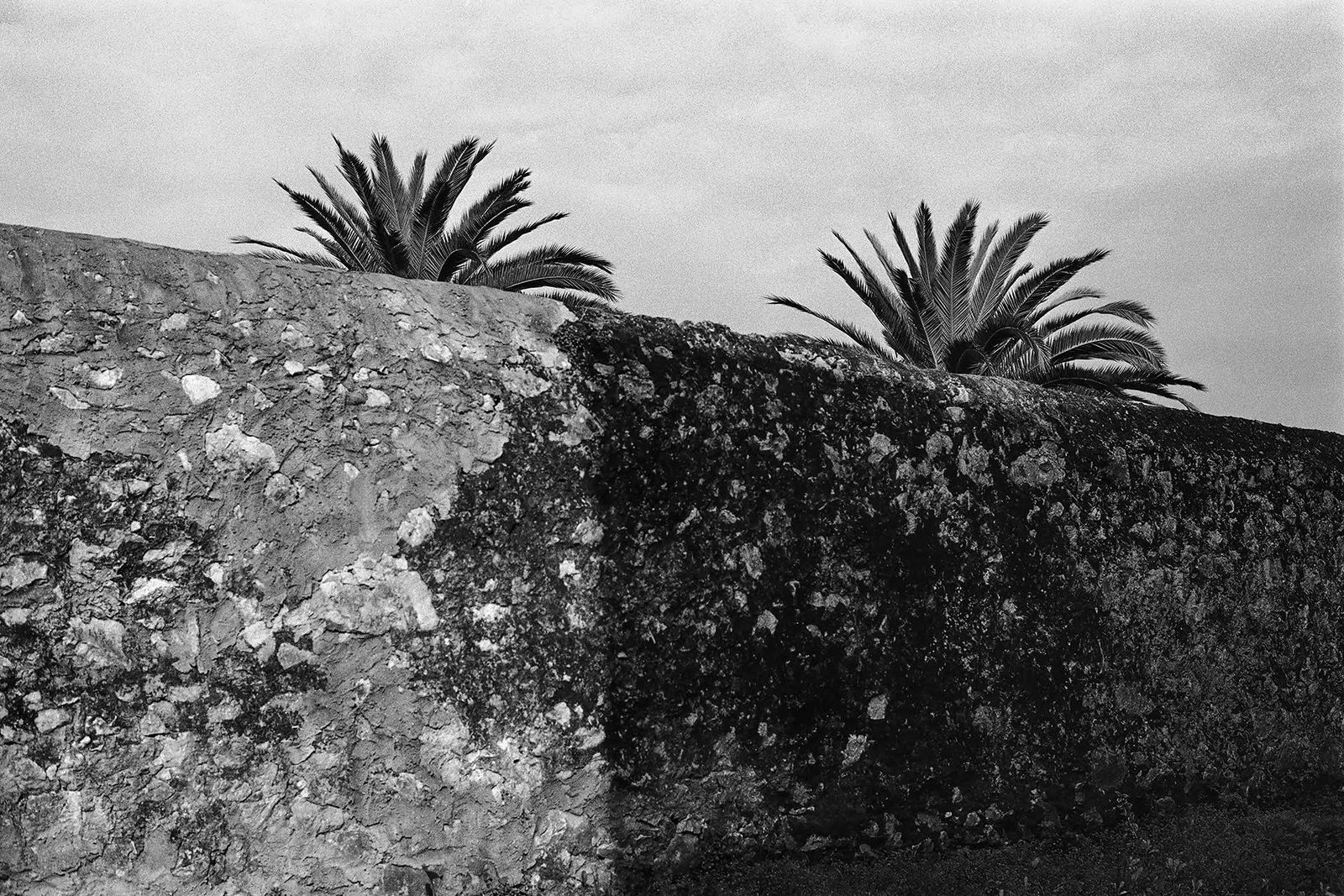 WALL WITH ALOES Almeria 1994 Spain