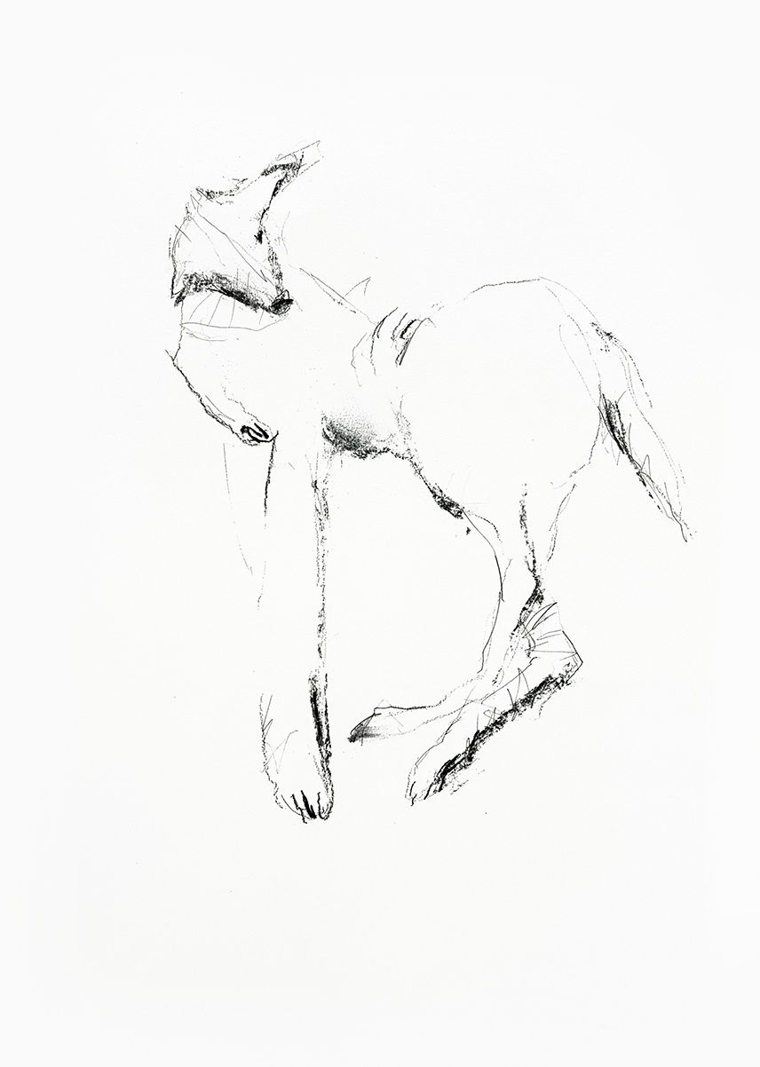 Ben Lowe, Drawing (10), 2024