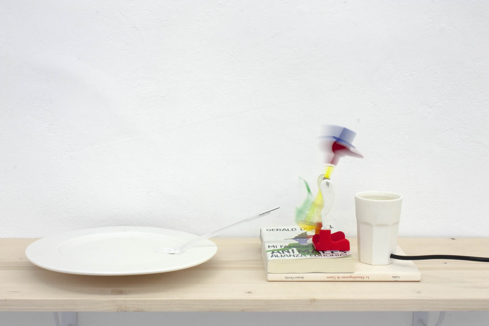 L'exposition que j'aurais aimé vouloir faire, Galerie du Haut Pavé © Marcos Uriondo