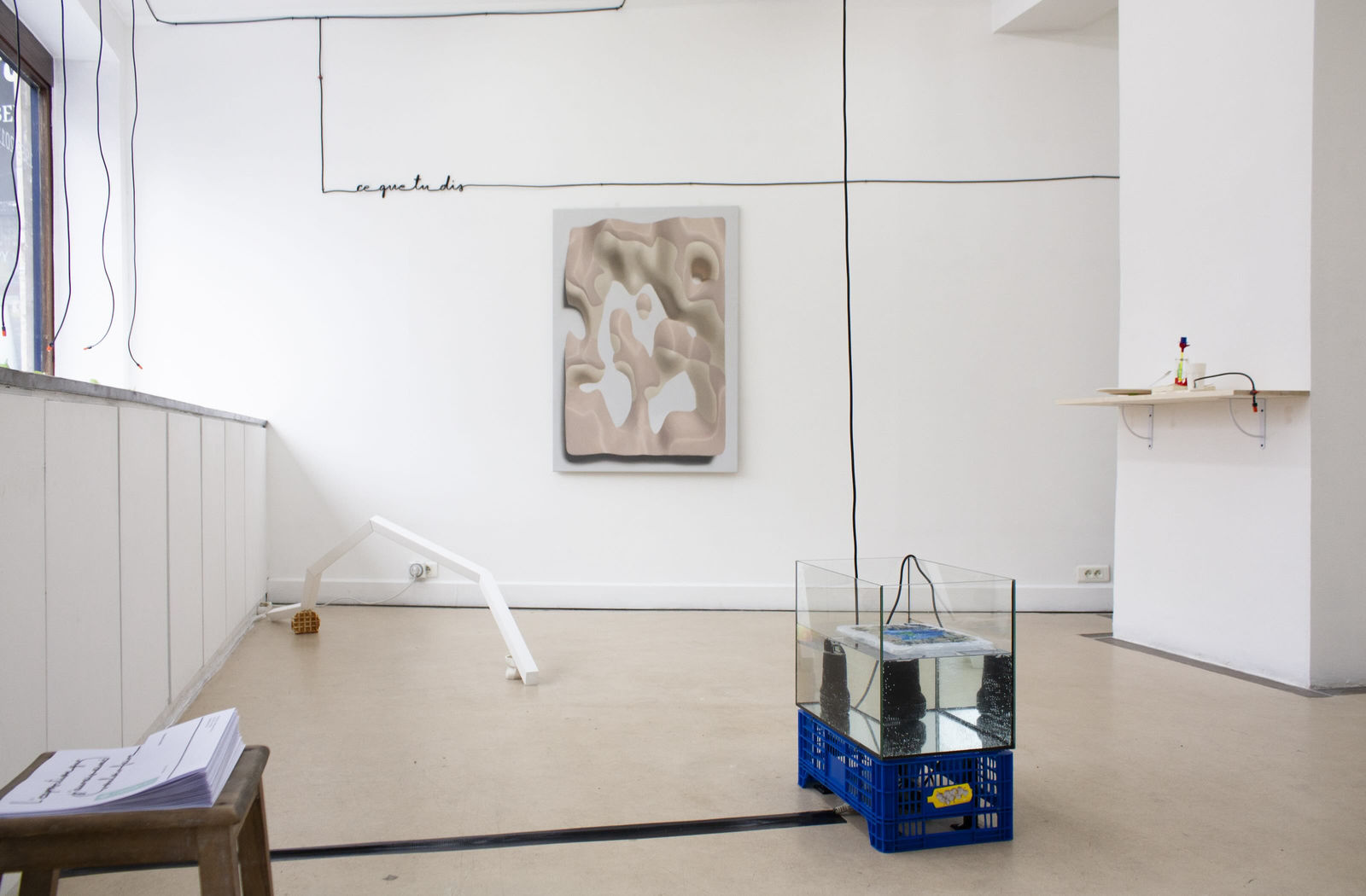 L'exposition que j'aurais aimé vouloir faire, Galerie du Haut Pavé © Marcos Uriondo