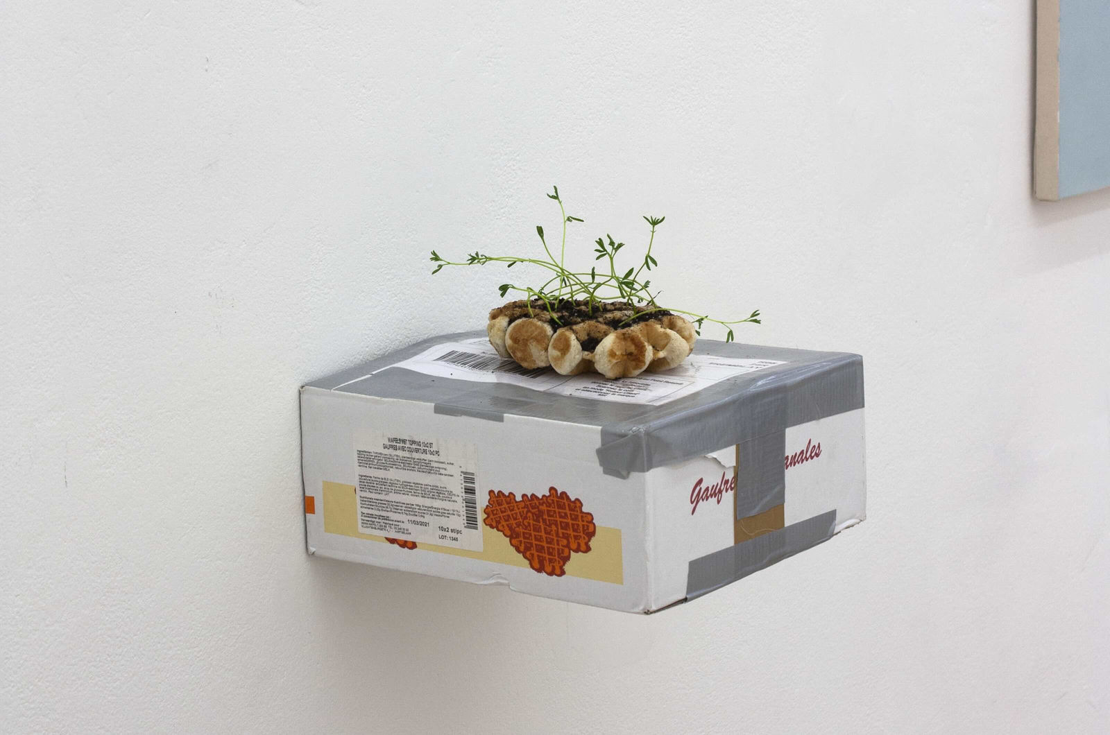 L'exposition que j'aurais aimé vouloir faire, Galerie du Haut Pavé © Marcos Uriondo