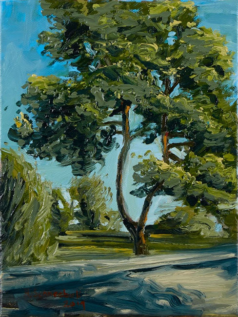 Hubert Schneebeli, Pin parasol, 2019