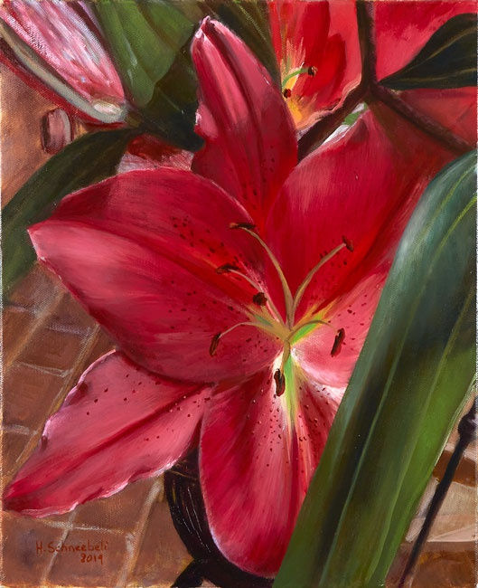 Hubert Schneebeli, Lys #1, 2019