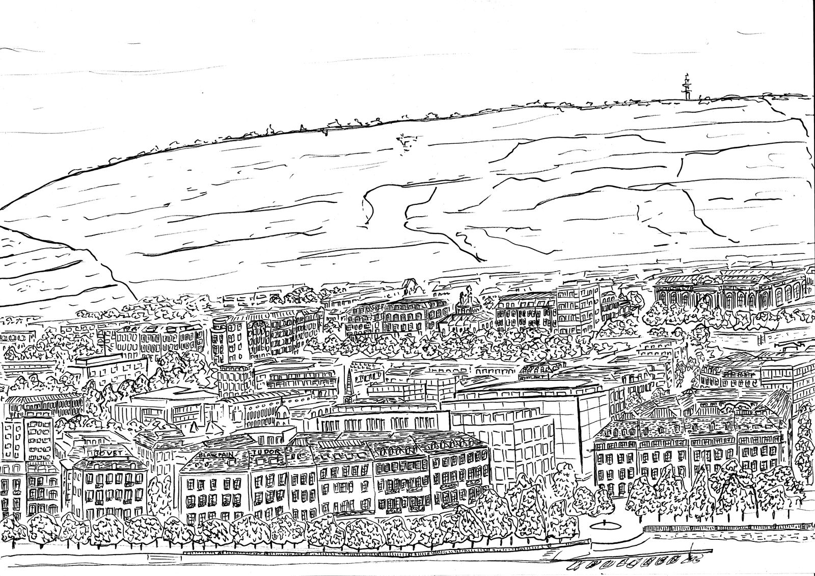 Martin La Roche, Panorama - Rive Gauche