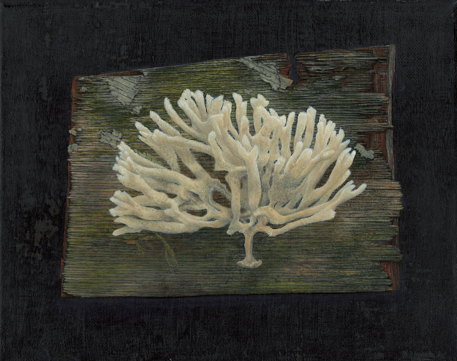 Estelle Vera, Trustful Resting