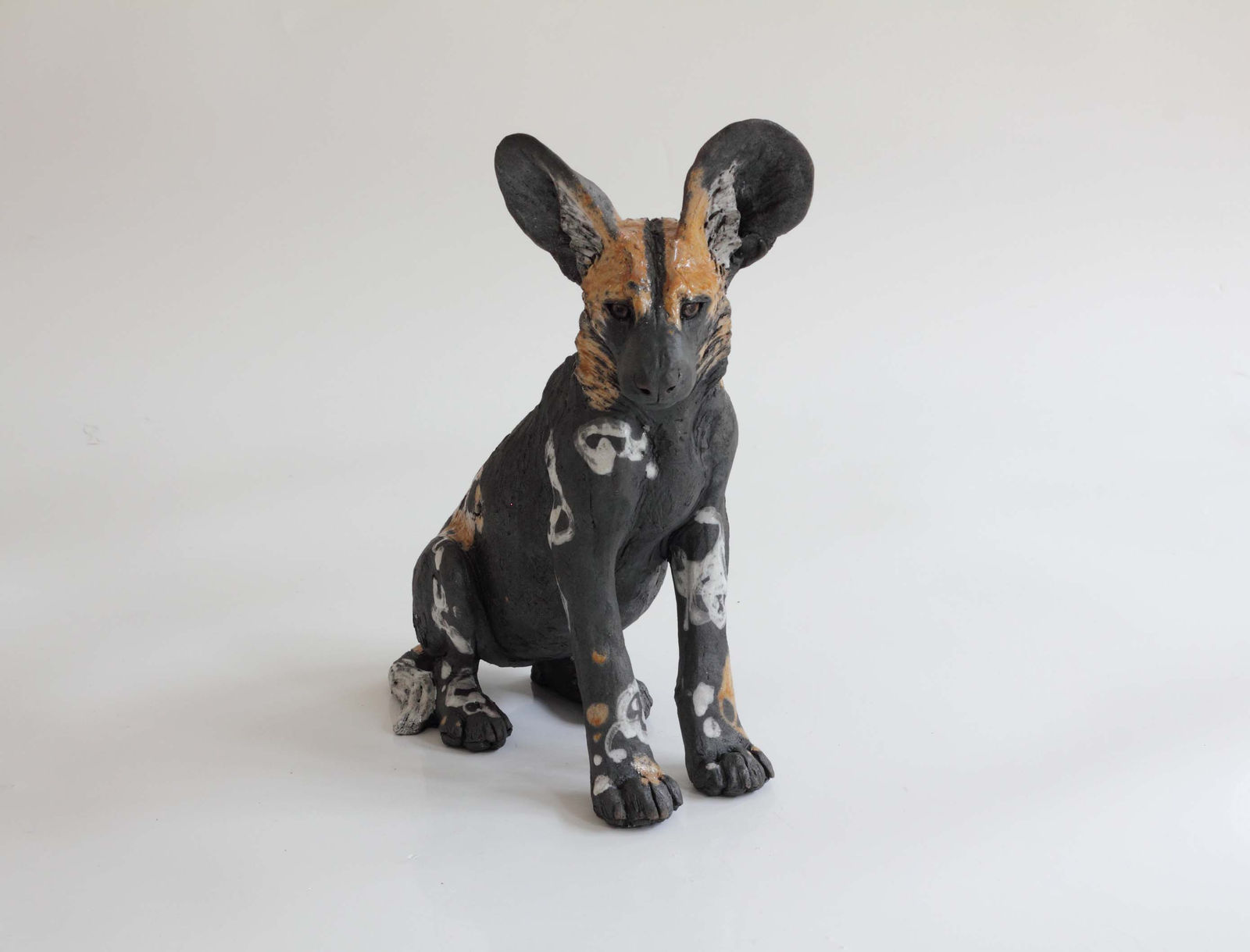Nick Mackman, Wild Dog Pup Seated