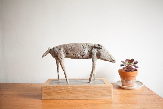 Christopher Marvell, Small Wild Pig